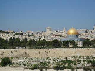 �G���T�������i2