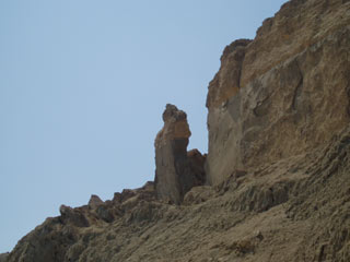 �G���T�������i2