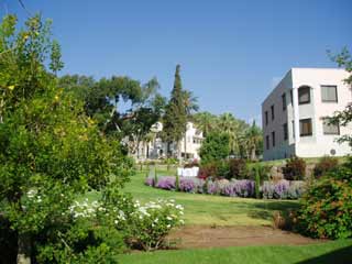 �G���T�������i2