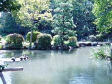 �呺�����A�r