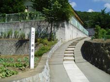 ���_����