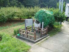 �L�n���M擋��̐Ձ^���i